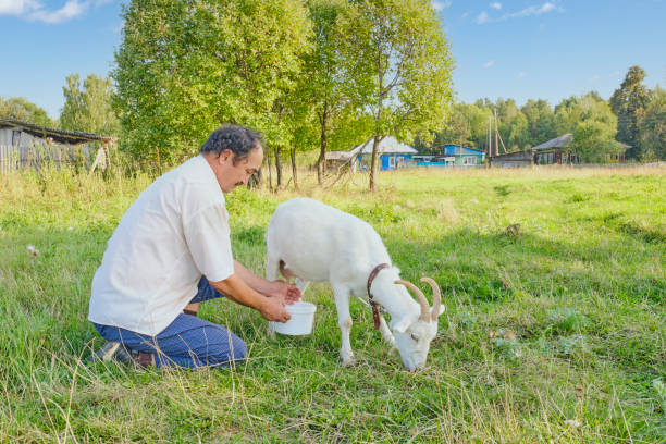 Etta Goat Milk Khasiatnya yang Luar Biasa Buat Tubuh Kita